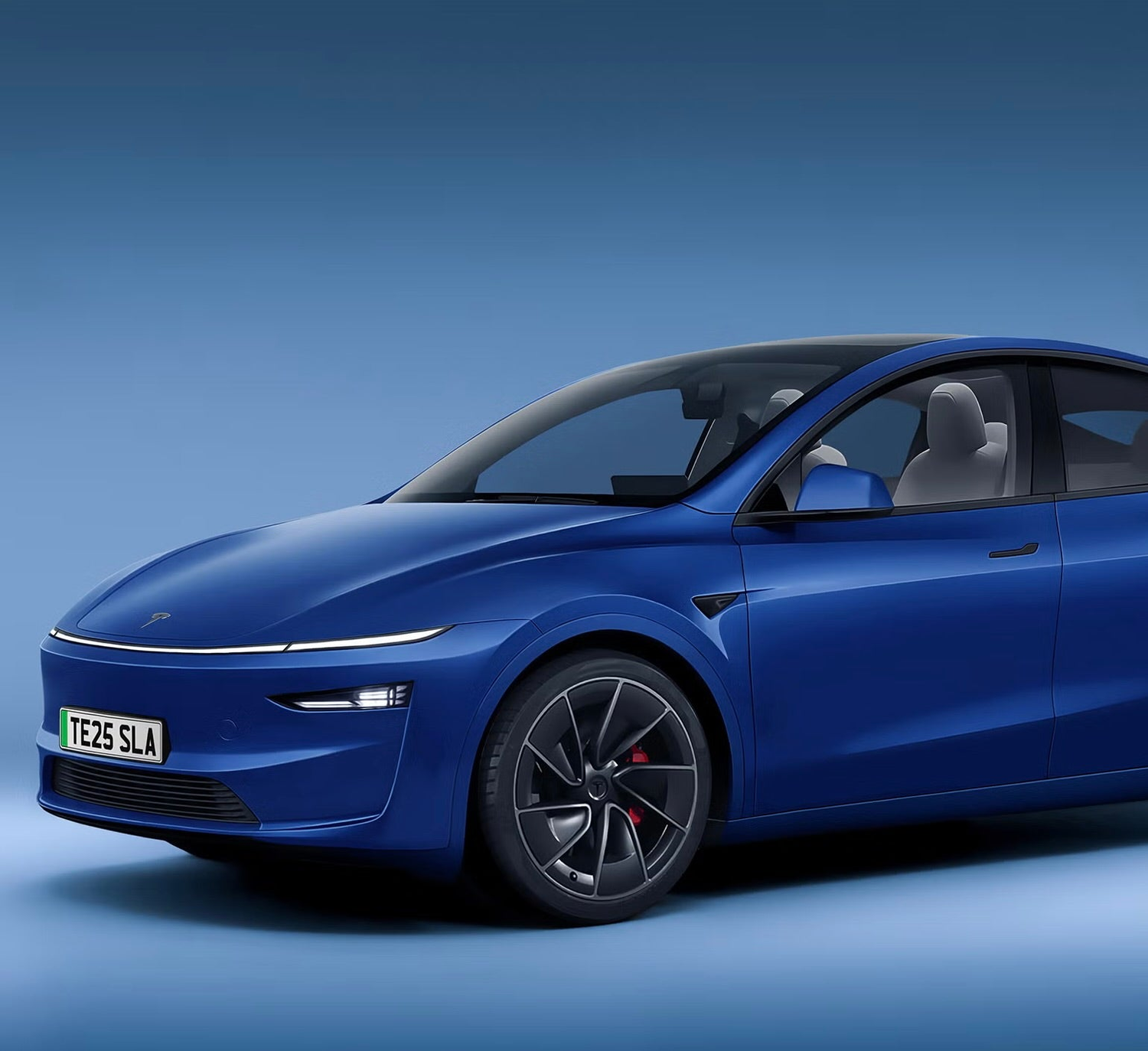 MODEL Y